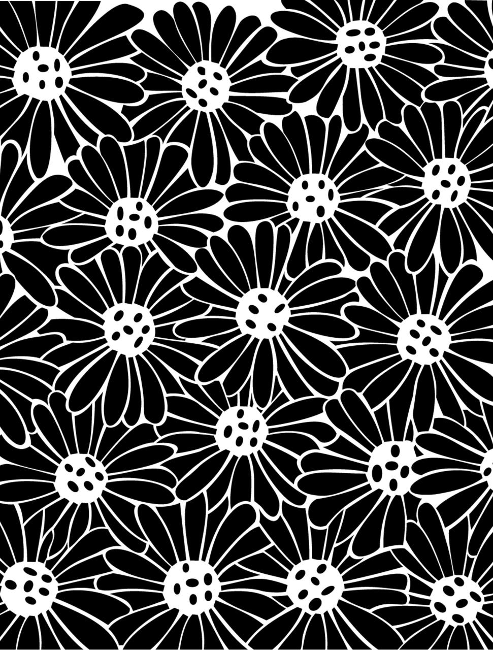 Daisy　黒×2白×2 計4個セット of Image - Image Stock Background. Black a on Isolated Daisies Two その他