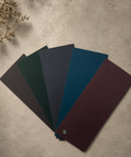 Color swatches arranged in a fan shape on a textured surface with a plant in the corner.