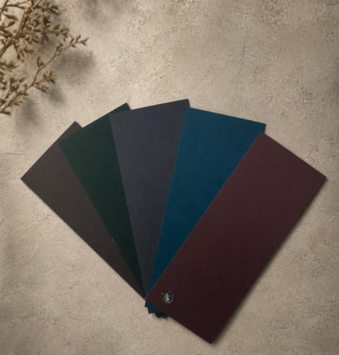 Color swatches arranged in a fan shape on a textured surface with a plant in the corner.