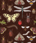 Illustrated pattern of various insects on a brown background