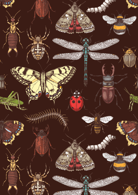 Illustrated pattern of various insects on a brown background