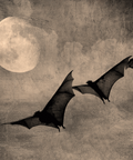A sepia-toned artwork showing three dark bat silhouettes flying upward against a textured gray-brown sky and a large pale full moon.
