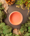 Overhead shot of Cottage Door paint jar. Staged with moss, pinecones, and mushrooms around it.