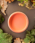 Overhead shot of Cottage Door paint jar. Staged with moss, pinecones, and mushrooms around it.