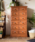 Dixie Belle Paint Terracotta Chalk Mineral Paint painted furniture piece with 12 drawers and staged with plants and another side dresser