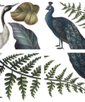 Image of Elegant Avian Floral Transfer. A large white and black crane to the left of a blue peacock. With purple, green, and blue leaves and branches.