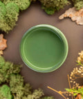 Overhead shot of English Ivy paint jar. Staged with moss, pinecones, and mushrooms around it.