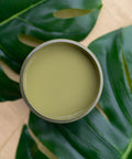 Overhead shot of an open jar of Everglades on faux greenery.