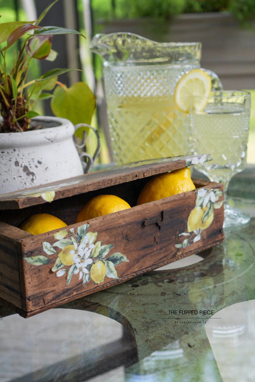 Lemon Zest - Mid Transfer - Dixie Belle Paint Company