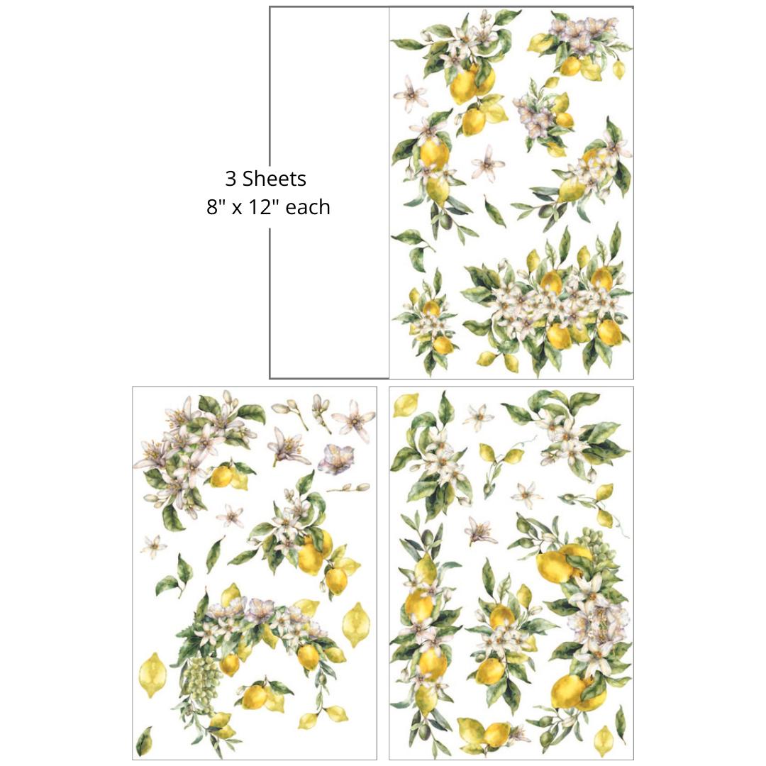 Lemon Zest - Mid Transfer - Dixie Belle Paint Company