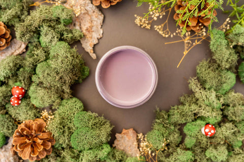 Overhead shot of Secret Path paint jar. Staged with moss, pinecones, and mushrooms around it.